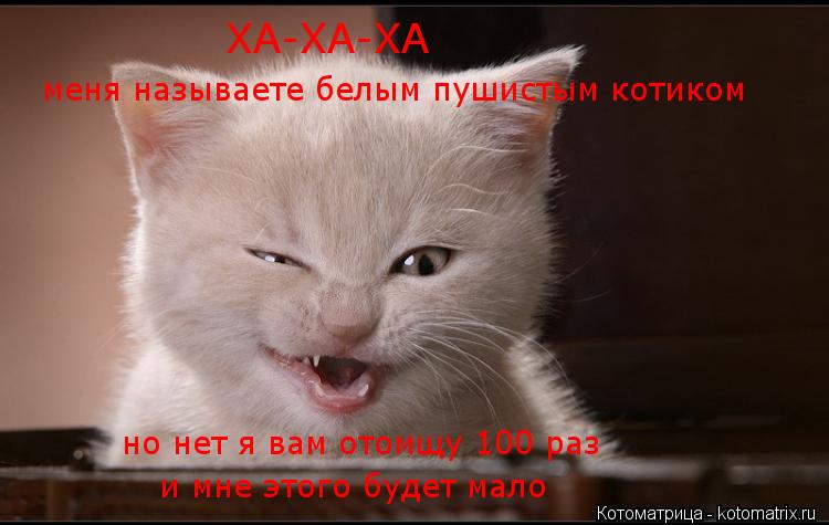 Котоматрица: ХА-ХА-ХА меня называете белым пушистым котиком но нет я вам отомщу 100 раз и мне этого будет мало