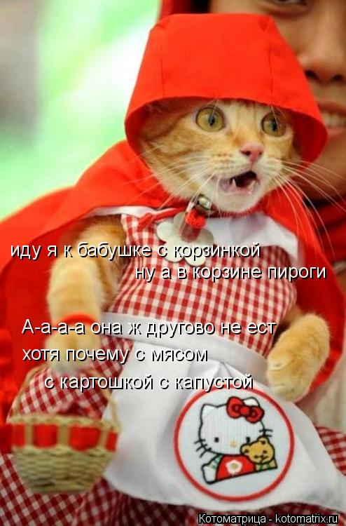 Котоматрица: иду я к бабушке с корзинкой ну а в корзине пироги А-а-а-а она ж другово не ест хотя почему с мясом  с картошкой с капустой