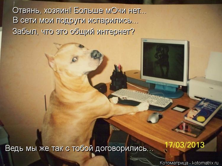 Котоматрица: Отвянь, хозяин! Больше мОчи нет... В сети мои подруги испарились... Забыл, что это общий интернет? Ведь мы же так с тобой договорились...