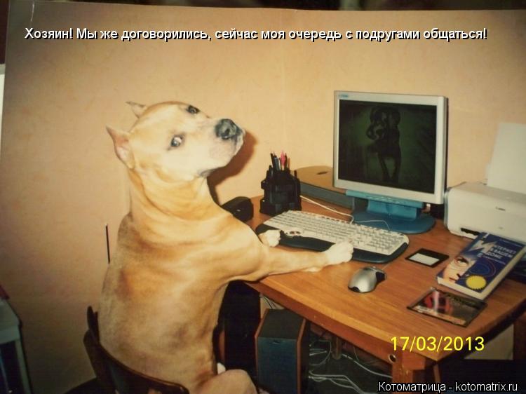 Котоматрица: Хозяин! Мы же договорились, сейчас моя очередь с подругами общаться!