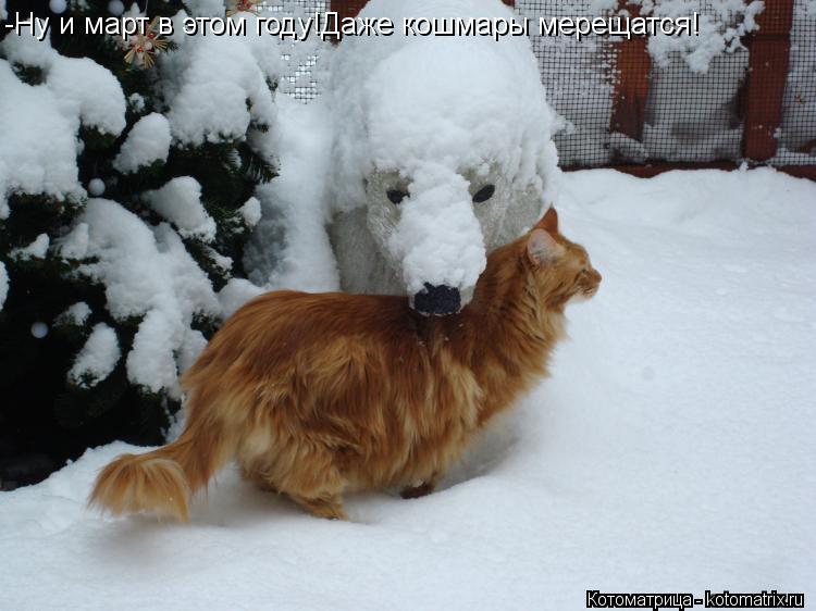 Котоматрица: -Ну и март в этом году!Даже кошмары мерещатся!
