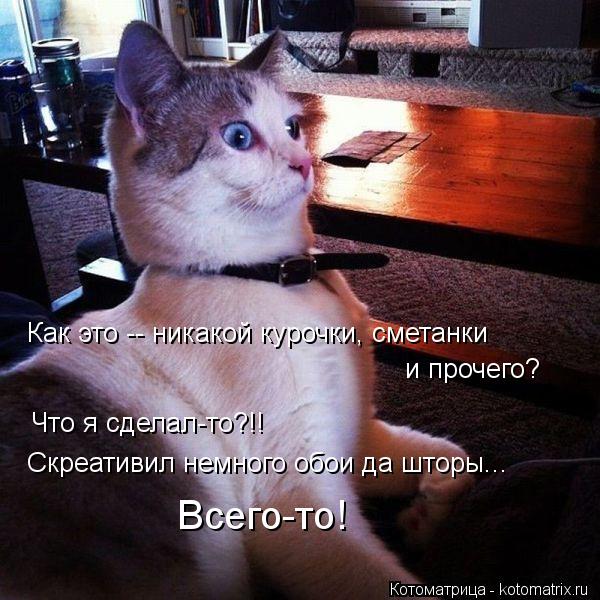 Котоматрица: Как это -- никакой курочки, сметанки  и прочего? Что я сделал-то?!! Скреативил немного обои да шторы... Всего-то!