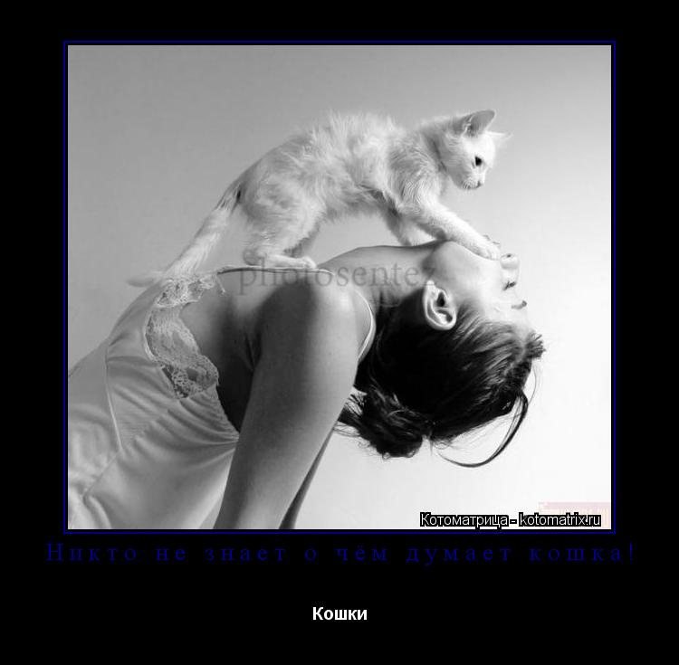 Котоматрица: Никто не знает о чём думает кошка! Кошки