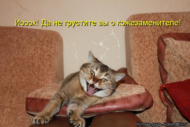 Котоматрица: Иэээх! Да не грустите вы о кожезаменителе!