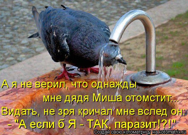 Котоматрица: А я не верил, что однажды  мне дядя Миша отомстит...  Видать, не зря кричал мне вслед он:  - "А если б Я - ТАК, паразит!?!"