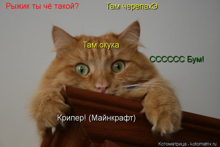 Котоматрица: Рыжик ты чё такой? Там черепахЭ Там скука  СССССС Бум! Крипер! (Майнкрафт)