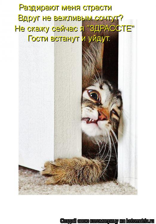 Котоматрица: Раздирают меня страсти Вдруг не вежливым сочтут? Не скажу сейчас я "ЗДРАССТЕ" Гости встанут и уйдут.