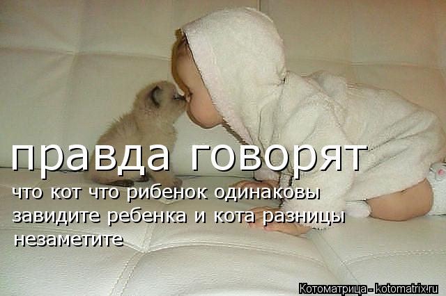 Котоматрица: правда говорят что кот что рибенок одинаковы завидите ребенка и кота разницы  незаметите