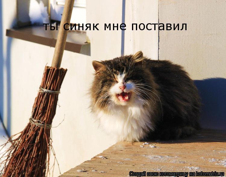 Котоматрица: ты синяк мне поставил