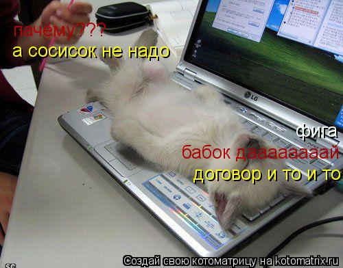 Котоматрица: фига бабок даааааааай пачёму??? а сосисок не надо договор и то и то