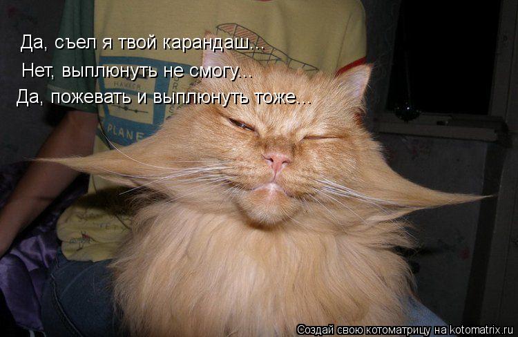 Котоматрица: Да, съел я твой карандаш... Нет, выплюнуть не смогу... Да, пожевать и выплюнуть тоже...