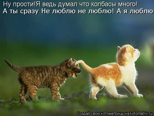 Котоматрица: Ну прости!Я ведь думал что колбасы много! А ты сразу Не люблю не люблю! А я люблю!