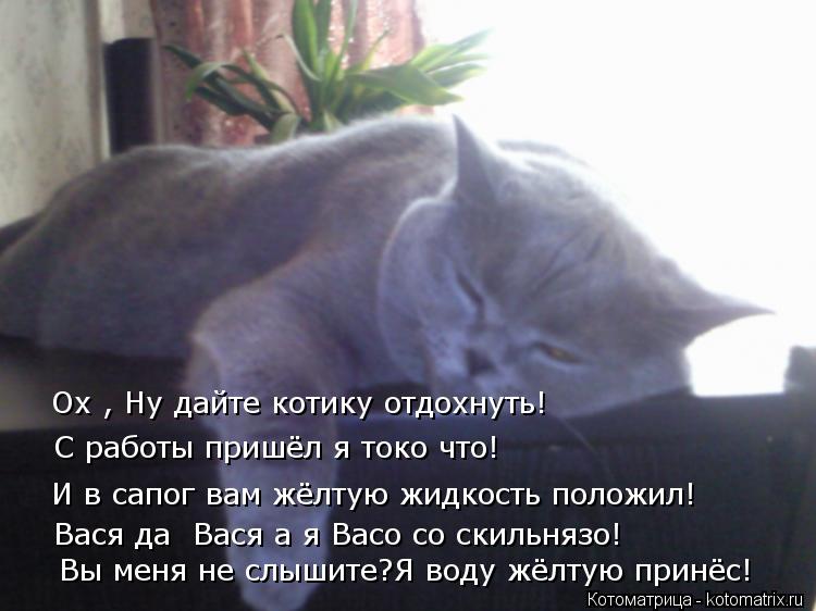 Котоматрица: Ох , Ну дайте котику отдохнуть! С работы пришёл я токо что! И в сапог вам жёлтую жидкость положил! Вася да  Вася а я Васо со скильнязо! Вы меня н
