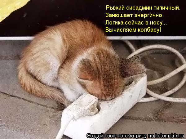 Котоматрица: Рыжий сисадмин типичный. Занюшает энергично. Логика сейчас в носу... Вычисляем колбасу!