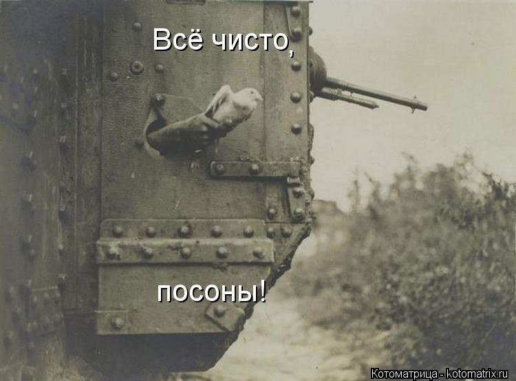 Котоматрица: Всё чисто , посоны!
