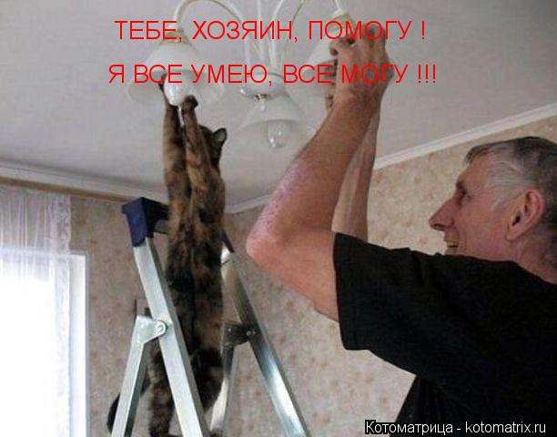 Котоматрица: ТЕБЕ, ХОЗЯИН, ПОМОГУ ! Я ВСЕ УМЕЮ, ВСЕ МОГУ !!!