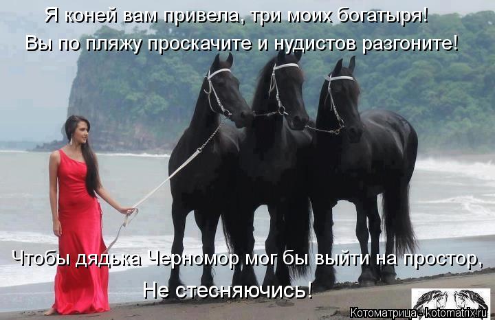 Котоматрица: Вы по пляжу проскачите и нудистов разгоните!   Я коней вам привела, три моих богатыря!    Не стесняючись! Чтобы дядька Черномор мог бы выйти на