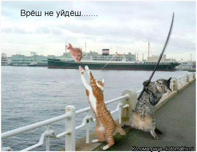 Котоматрица: Врёш не уйдёш.......