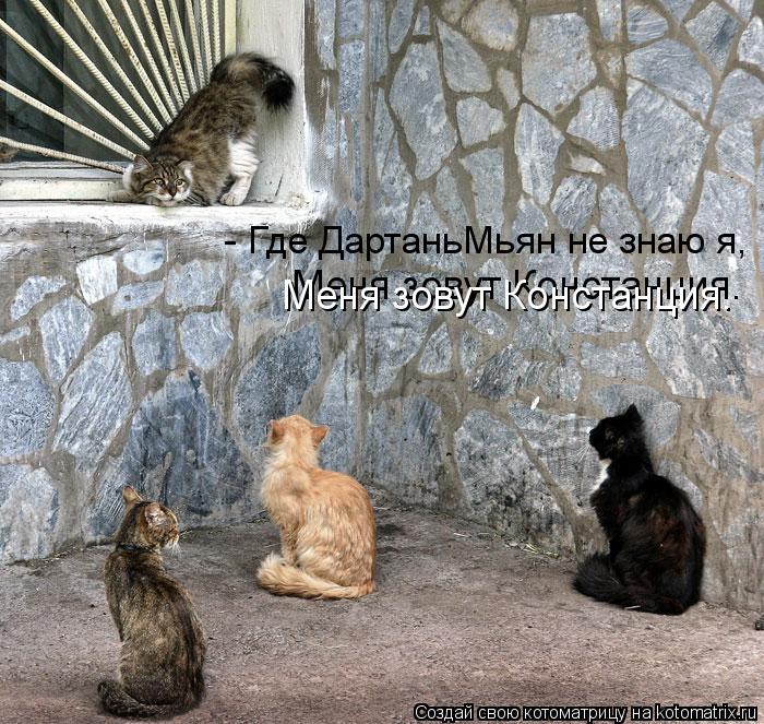 Котоматрица: Меня зовут Констанция. Меня зовут Констанция. - Где ДартаньМьян не знаю я,