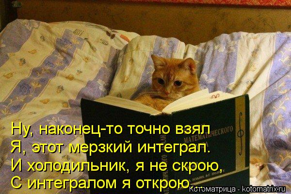 Котоматрица: Ну, наконец-то точно взял Я, этот мерзкий интеграл.  И холодильник, я не скрою, С интегралом я открою...