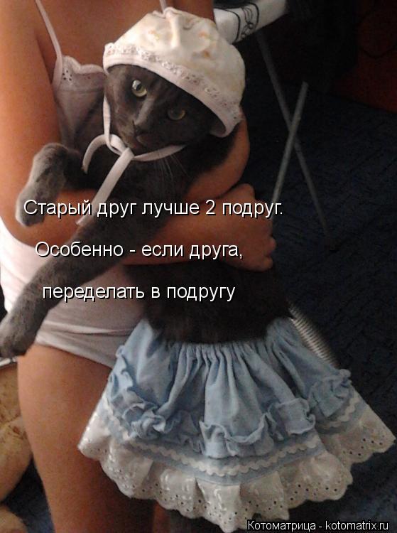 Котоматрица: Старый друг лучше 2 подруг.  Особенно - если друга,   переделать в подругу