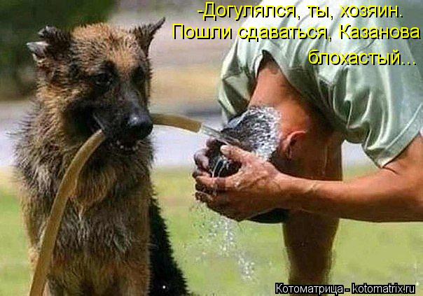 Котоматрица: Пошли сдаваться, Казанова блохастый... -Догулялся, ты, хозяин.