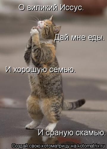 Котоматрица: О виликий Иссус. И хорошую семью. Дай мне еды. И сраную скамью.
