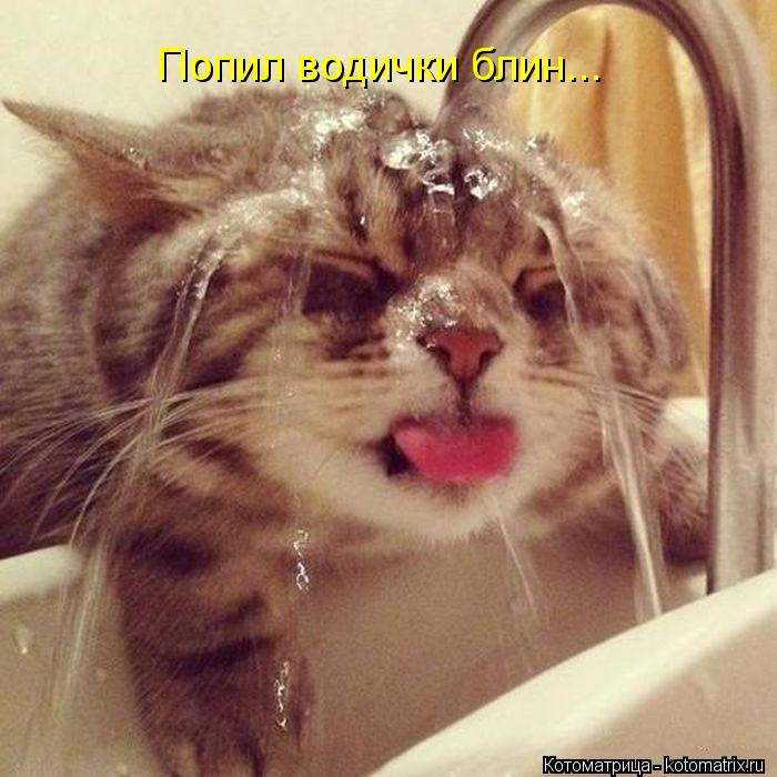 Котоматрица: Попил водички блин...