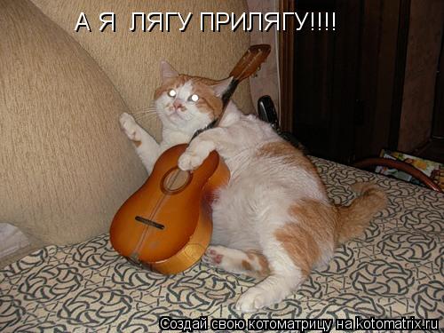 Котоматрица: А Я  ЛЯГУ ПРИЛЯГУ!!!!
