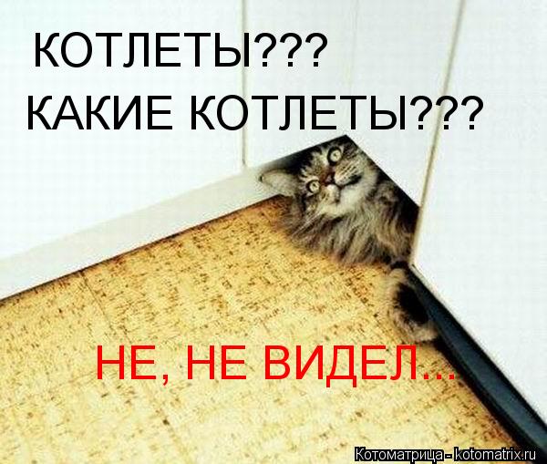 Котоматрица: КОТЛЕТЫ??? КАКИЕ КОТЛЕТЫ??? НЕ, НЕ ВИДЕЛ...