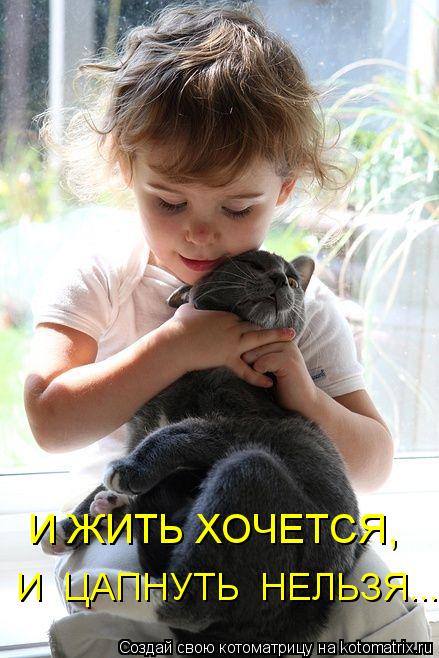 Котоматрица: И ЖИТЬ ХОЧЕТСЯ, И  ЦАПНУТЬ  НЕЛЬЗЯ...