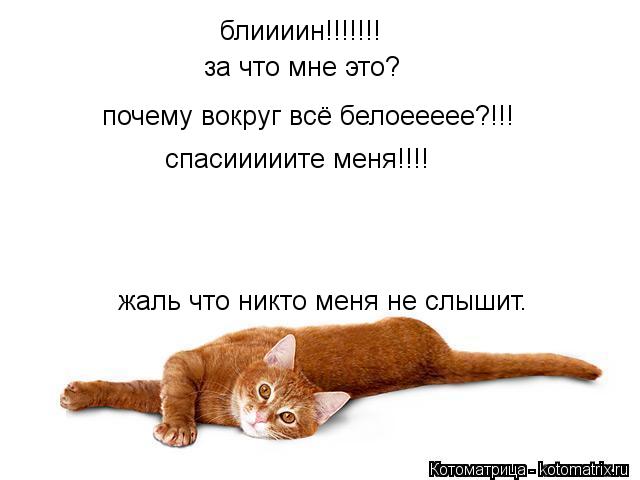 Котоматрица: блиииин!!!!!!! за что мне это? почему вокруг всё белоеееее?!!! спасииииите меня!!!! жаль что никто меня не слышит.