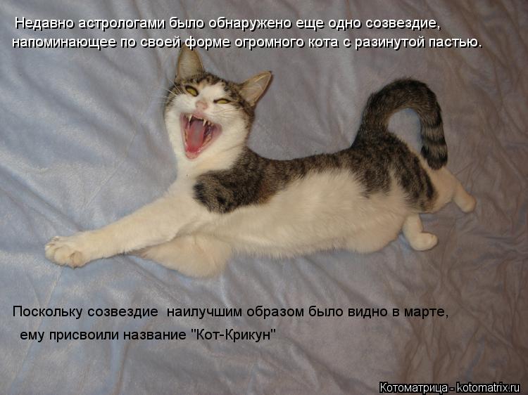Котоматрица: Недавно астрологами было обнаружено еще одно созвездие, напоминающее по своей форме огромного кота с разинутой пастью. Поскольку созвезди