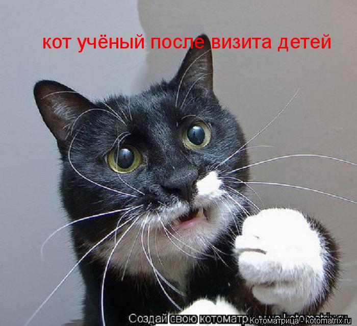 Котоматрица: кот учёный после визита детей