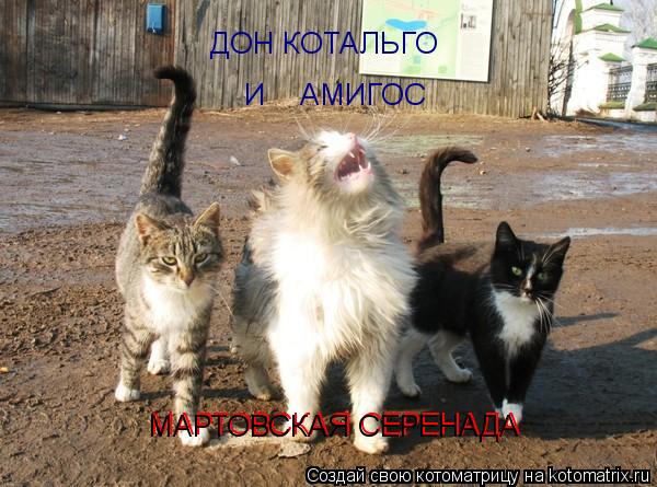 Котоматрица: ДОН КОТАЛЬГО  И    АМИГОС МАРТОВСКАЯ СЕРЕНАДА МАРТОВСКАЯ СЕРЕНАДА