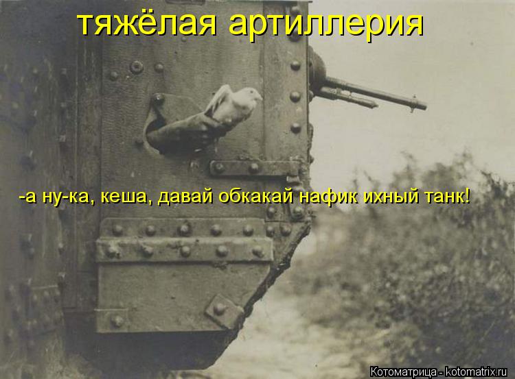 Котоматрица: тяжёлая артиллерия -а ну-ка, кеша, давай обкакай нафик ихный танк!