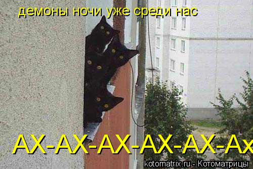 Котоматрица: демоны ночи уже среди нас  АХ-АХ-АХ-АХ-АХ-Ах