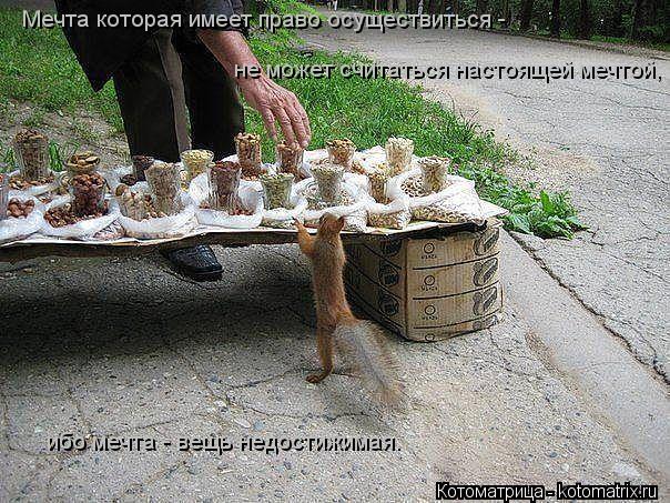 Котоматрица: Мечта которая имеет право осуществиться -   не может считаться настоящей мечтой,  ибо мечта - вещь недостижимая.