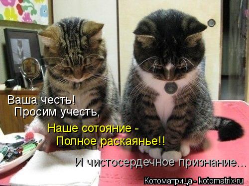 Котоматрица: Ваша честь! Просим учесть, Наше сотояние -  Полное раскаянье!! И чистосердечное признание...