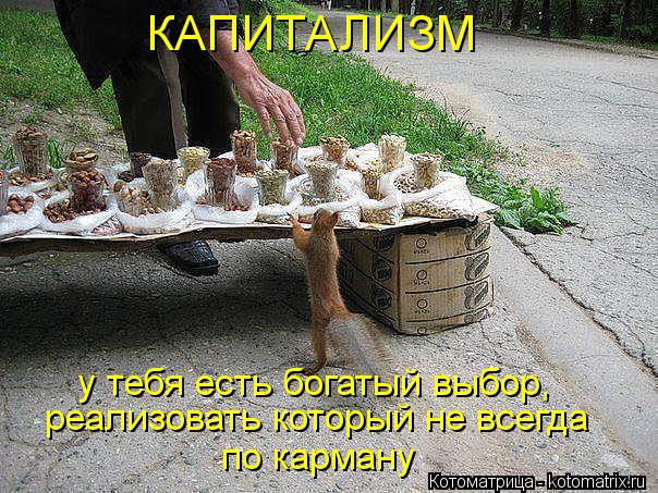 Котоматрица: КАПИТАЛИЗМ у тебя есть богатый выбор,  реализовать который не всегда по карману