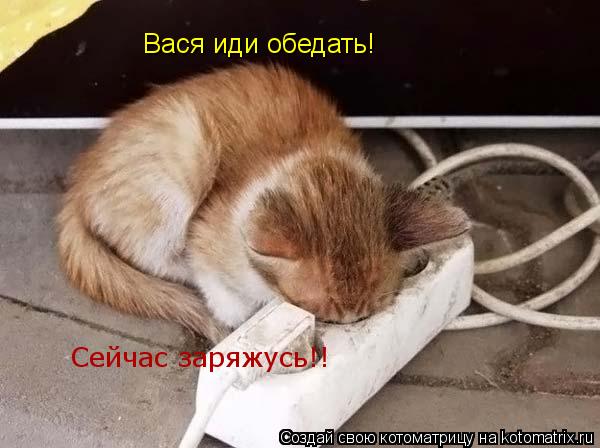 Котоматрица: Вася иди обедать! Сейчас заряжусь!!