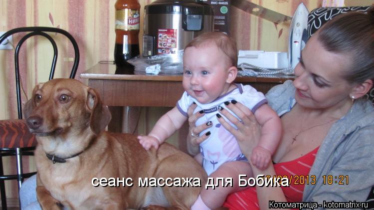 Котоматрица: сеанс массажа для Бобика