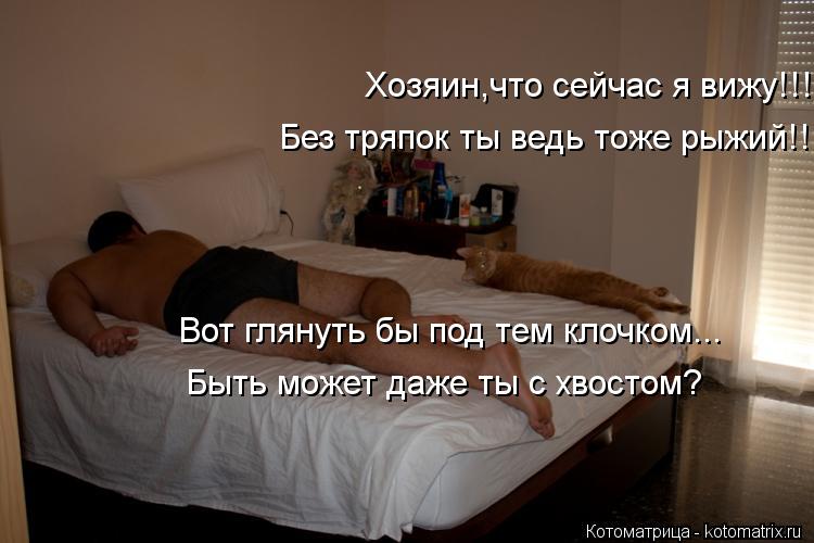 Котоматрица: Хозяин,что сейчас я вижу!!! Без тряпок ты ведь тоже рыжий!! Вот глянуть бы под тем клочком... Быть может даже ты с хвостом?