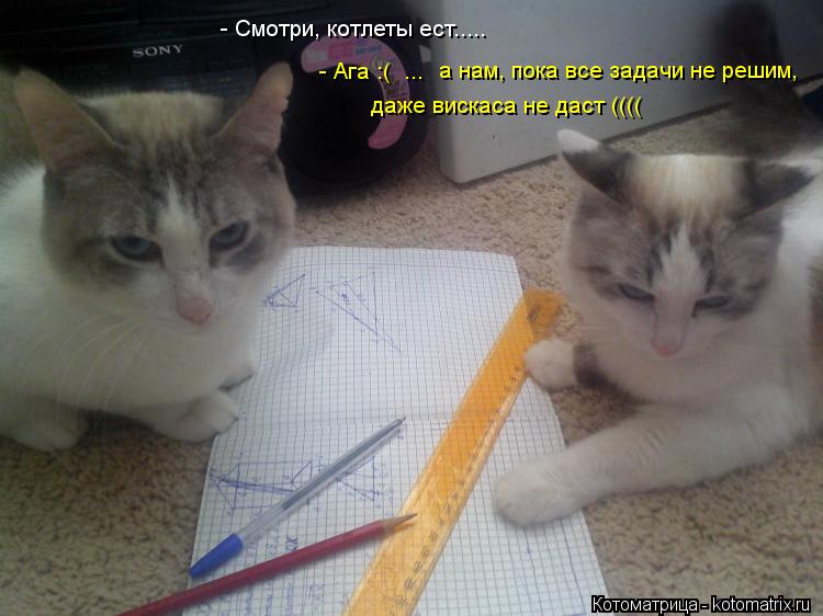 Котоматрица: - Смотри, котлеты ест..... а нам, пока все задачи не решим,  даже вискаса не даст (((( - Ага :(  ...