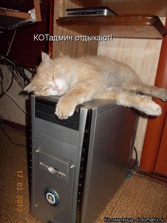Котоматрица: КОТадмин отдыхают!