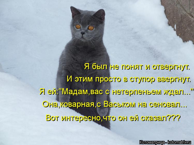 Я был не понят и отвергнут. И этим просто в ступор ввергнут. Я ей:"Мадам,вас с нетерпеньем ждал..." О... Котоматрица: Я был не понят и отвергнут. И этим просто в ступор ввергнут. Я ей:"Мадам,вас с нетерпеньем ждал..." Она,коварная,с Васьком на сеновал... Вот инте