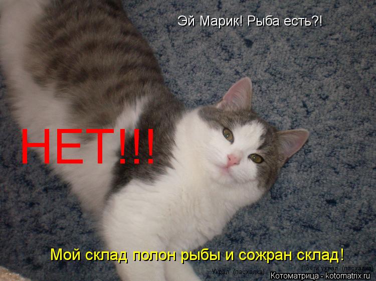 Котоматрица: Эй Марик! Рыба есть?! НЕТ!!! Мой склад полон рыбы и сожран склад! Почти украл. (пасхалка) Украл. (пасхалка)