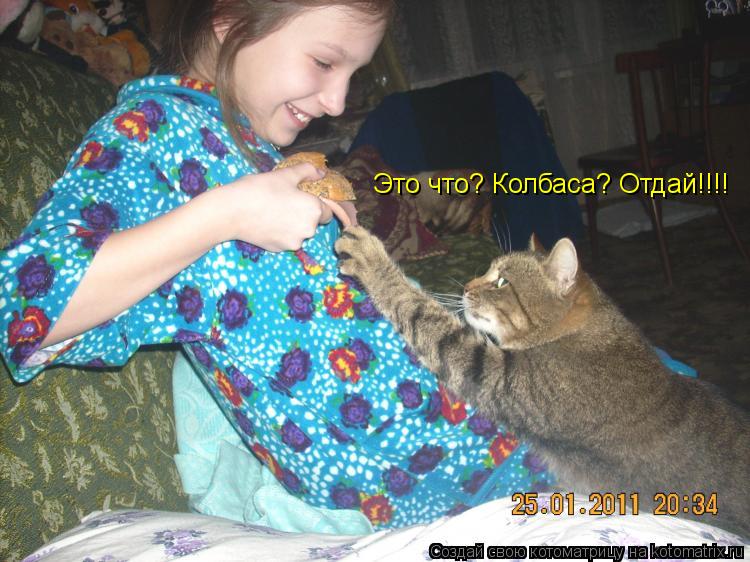 Котоматрица: Это что? Колбаса? Отдай!!!!
