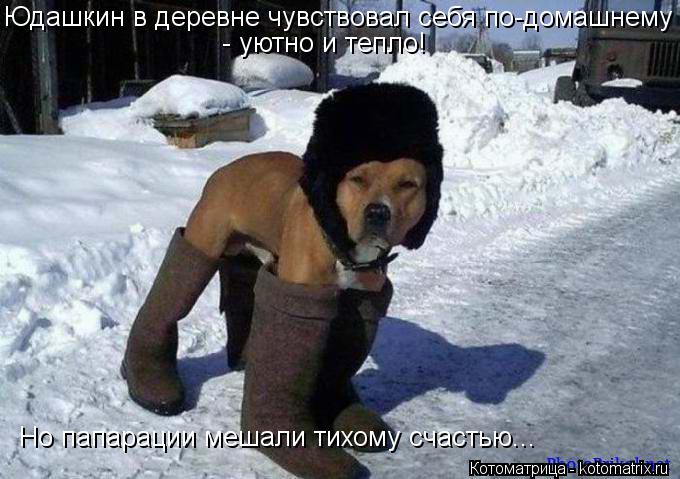 Котоматрица: Юдашкин в деревне чувствовал себя по-домашнему - уютно и тепло! Но папарации мешали тихому счастью...