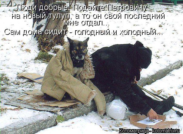 Котоматрица: Люди добрые! Подайте Петровичу   на новый тулуп, а то он свой последний  мне отдал...  Сам дома сидит - голодный и холодный...
